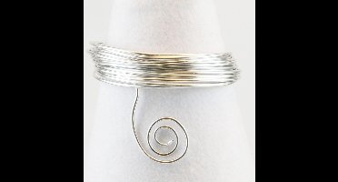 Vaessen Creative Aluminium Draad - 1mm - 10m - Zilver