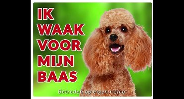 Poedel Abricot Waakbord - Ik waak voor mijn baas