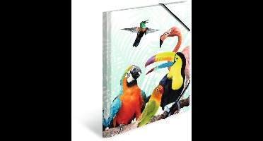 HERMA A4 Papegaaien Mappen Set, 3-delig, kinderhoekmappen van kunststof met dierenmotief, elastiek, binnenflappen en binnenopdruk voor jongens en meisjes