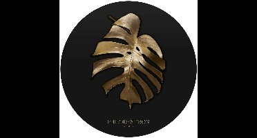 Glasschilderij Monstera Goud - Ø 70 - Glas - REINDERS