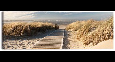 Schilderij Duinen - 40 x 118 - Hout - REINDERS