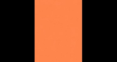 ORANJE UNI BEHANG - AS Creation X-Ray