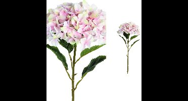 PTMD Hydrangea Flower Hortensia Prikker - 41 x 34 x 111 cm - Roze