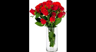 Cepewa Bloemenvaas Cylinder - helder transparant - glas - 15 x 30 cm - hand geblazen glas