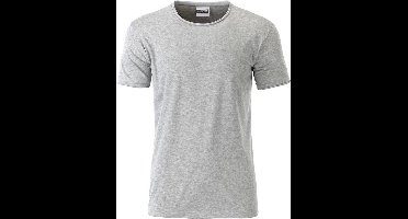 Fusible Systems - Heren James and Nicholson Standaard T-Shirt (Grijs)