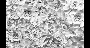 Komar Pure | Shades black/white | bloemen in grijstinten | fotobehang op vlies 400x250cm