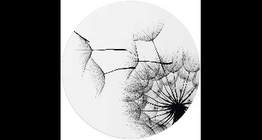 Plexiglasschilderij Paardenbloem - Ø 50 - Acrylglas - REINDERS