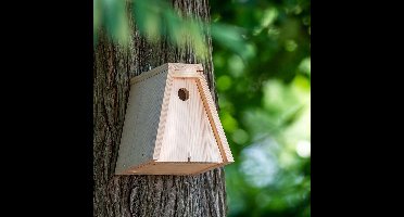 CJ Wildlife Nestkast Bouwpakket voor Mezen - Nala - 28mm - Nestkastje voor o.a. Pimpelmees & Zwarte Mees - Vogelhuisje - Gemaakt van FSC-gecertificeerd Hout
