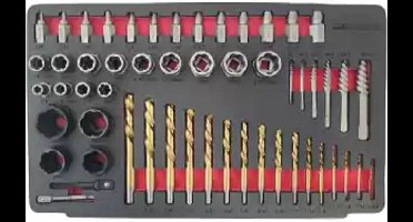 Bout en Moer verwijder set-Weber Tools- 54 delig