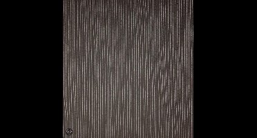 Dutch Wallcoverings Streepje - Zwart/zilver