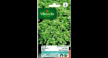 Basilicum fijnbladig - Ocimum basilicum