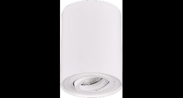 TRIO COOKIE - Plafondlamp - Wit mat - excl. 1x GU10 4,9 W - OSRAM lichtbron - Verlichting omhoog en omlaag - Niet dimbaar