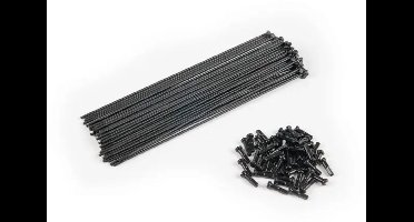 Rayon Eclat PG (x40)