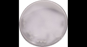 Astralpool Lumiplus Essentail Par56 Led Rgb 1100 Lumen Wir Led Ing 22w Licht Transparant,Wit
