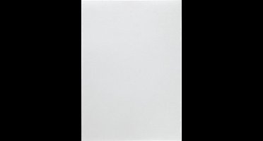 Parelmoerpapier - Zilver - A4 - 21x29,7cm - 120 gram - Paper Concept - 10 vellen