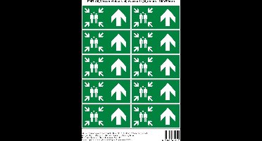 Pictogram sticker E007-A0 Verzamelplaats bij evacuatie N rechts - 100x50mm 10 stickers op 1 vel