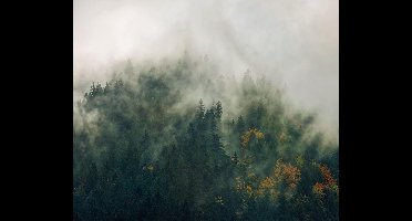 Komar Fotobehang Tales of the Carpathians 300x250 cm