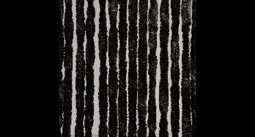 Luxe Kattenstaart Vliegengordijn - 125 x 230cm - Zwart