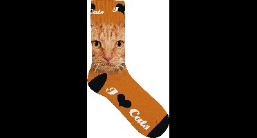 Kinder Sokken oranje Katten Ogen maat 31-36