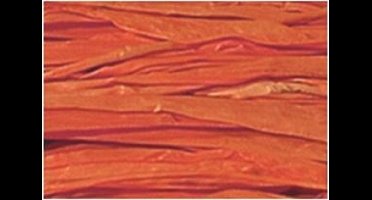 Raffia Folia 50gr. oranje -