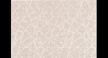 Secret de Gourmet Placemat set van 4 - Onderlegger - 45 x 30 cm - Beige