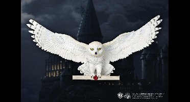 Harry Potter Wandbord/Wanddecoratie Hedwig Owl Post 46 cm Wit