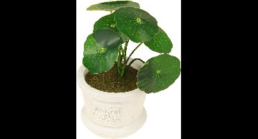 Kaemingk - Kunstplant in Decoratieve Pot - 8x17 cm - Groen - Realistisch Uiterlijk - Onderhoudsvrij