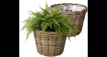 VD Leeden Plantenmand Klassiek - 2x - rond - bruin - 29 x 20 cm - rotan - gevlochten riet - bloempot