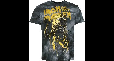 Iron Maiden Eddie Heren T-shirt - grijs - 4XL