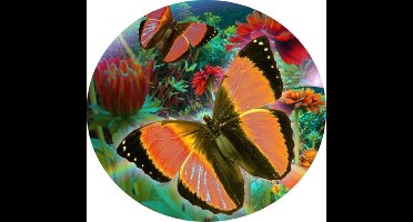 DIY Crystal Clock Kit | Diamond Painting Beautiful Butterflies