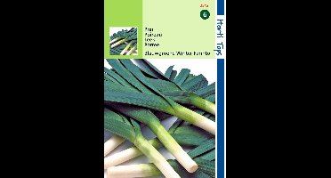 2 stuks Hortitops Prei Blauwgroene Winter Farinto