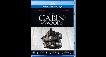 Cabin In The Woods