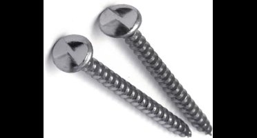anti-inbraakschroef 4,0 x 30 mm gegalvaniseerd (200st.)