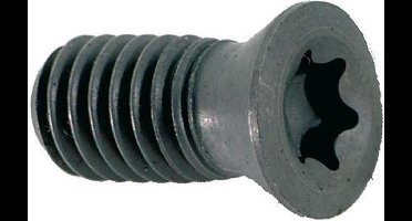 TORX-schroef voor volboor D 22,5-26mm