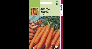 Hortitops Zaden - Winterwortelen Berlikumer 2-3 10 Gram