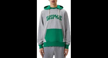 Ralph Lauren hoodie grijs met groene kap en Inspire-applicatie voor heren - S