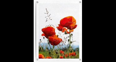 Tuinposter Klaprozen - 80 x 60 - Canvas - REINDERS