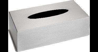 WENKO Box voor tissues RVS mat 25x12x8cm - Tissuebox roestvrijstaal - Tissuehouder - Zakdoekendoos - Tissuedoos staand of wandbevestigd, met bodem