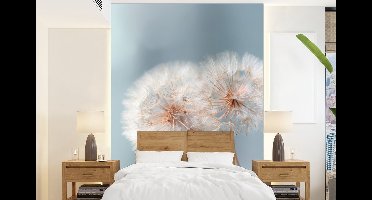 Behang - Fotobehang Paardenbloemen - Pluisjes - Wit - Breedte 160 cm x hoogte 220 cm