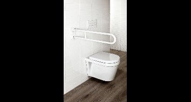 Sanifun Allibert toilet hendelgreep Usis Wit 700