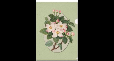 L-mapje A4 formaat: Botanical Treasures, James Bolton, Chester Beatty - 3 Stuks