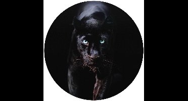 Plexiglasschilderij Zwarte Panter - Ø 70 - Acrylglas - REINDERS