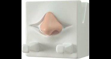 Antartidee - sleutelrekje - neus - wit - Italiaans - Design - polystone