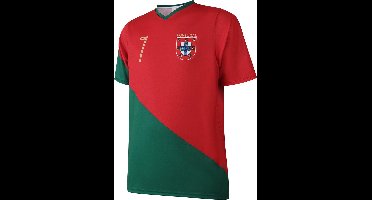 Ronaldo Portugal Voetbalshirt Thuis - Voetbalshirts Kinderen - Jongens en Meisjes - Sportshirts - Volwassenen - Heren en Dames - Maat 152