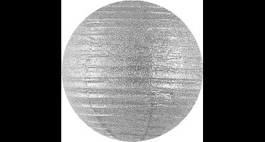 Decoratieve lampion zilver 20cm