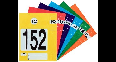 Autosleutel Identificatie Set - 300 stuks - Blauw