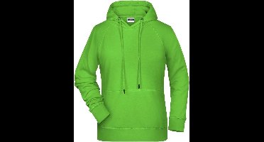 James and Nicholson Dames/dames Raglan Sleeved Hoodie (Kalk groen)
