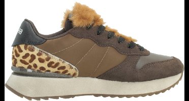 SUN68 SCPZ46224 Bruin 41 EU