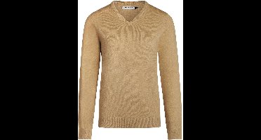 Steppin' Out Dames Pullover V-hals Merinowol Camel - Maat XXL - Heren - Pullovers
