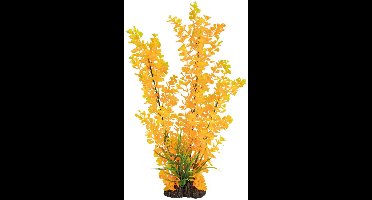 SuperFish Art Plant 40CM Ludwigia Orange